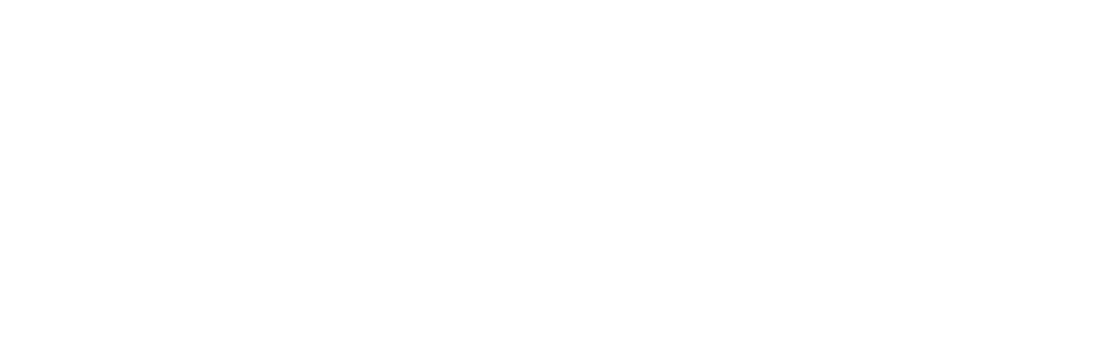 96Tanuki